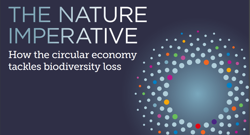 The Nature Imperative: How the circular tackles biodiversity loss'. Ellen Foundation. (Sept. EnCircular